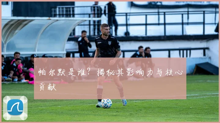 帕尔默是谁？揭秘其影响力与核心贡献