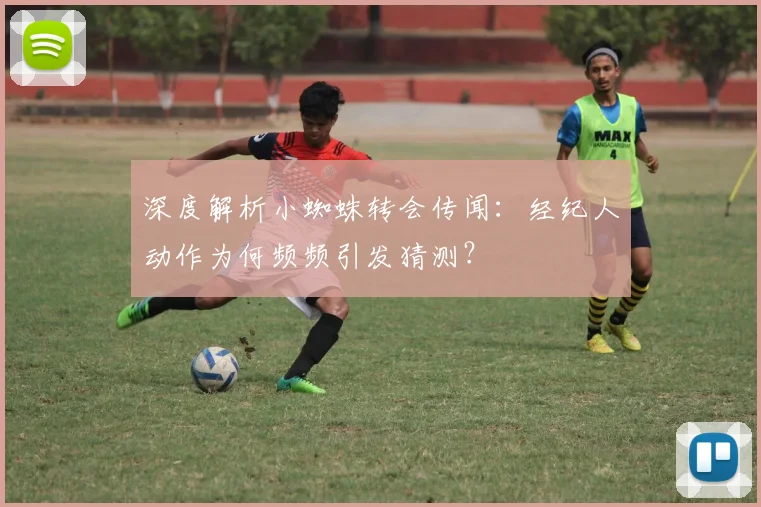 深度解析小蜘蛛转会传闻:经纪人动作为何频频引发猜测?